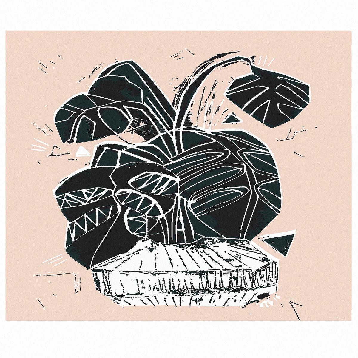 Magical Monstera