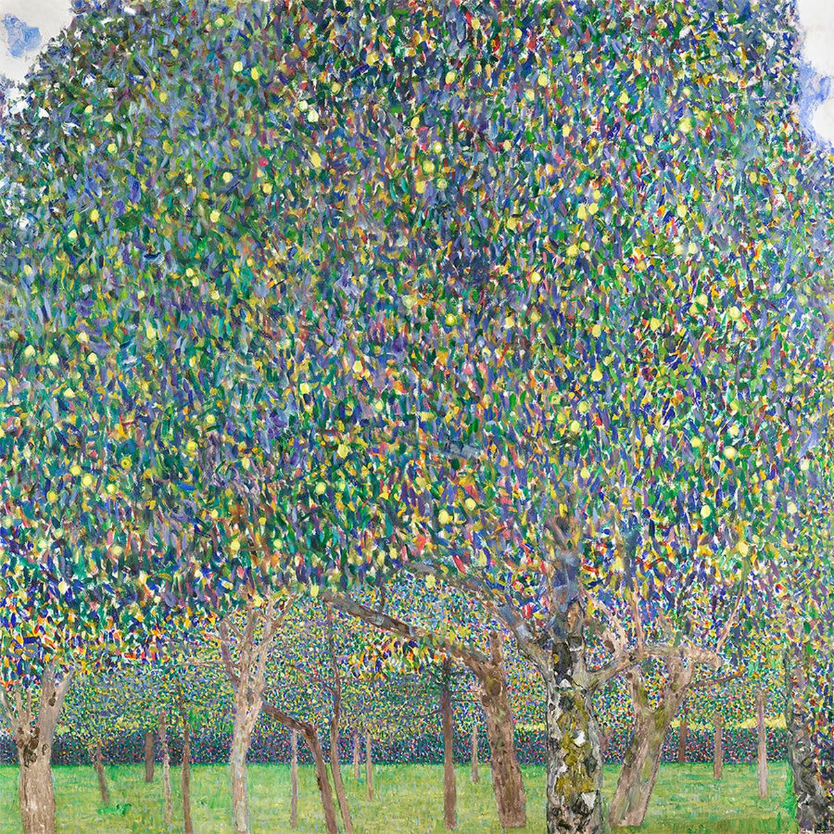 Pear Tree (1903)