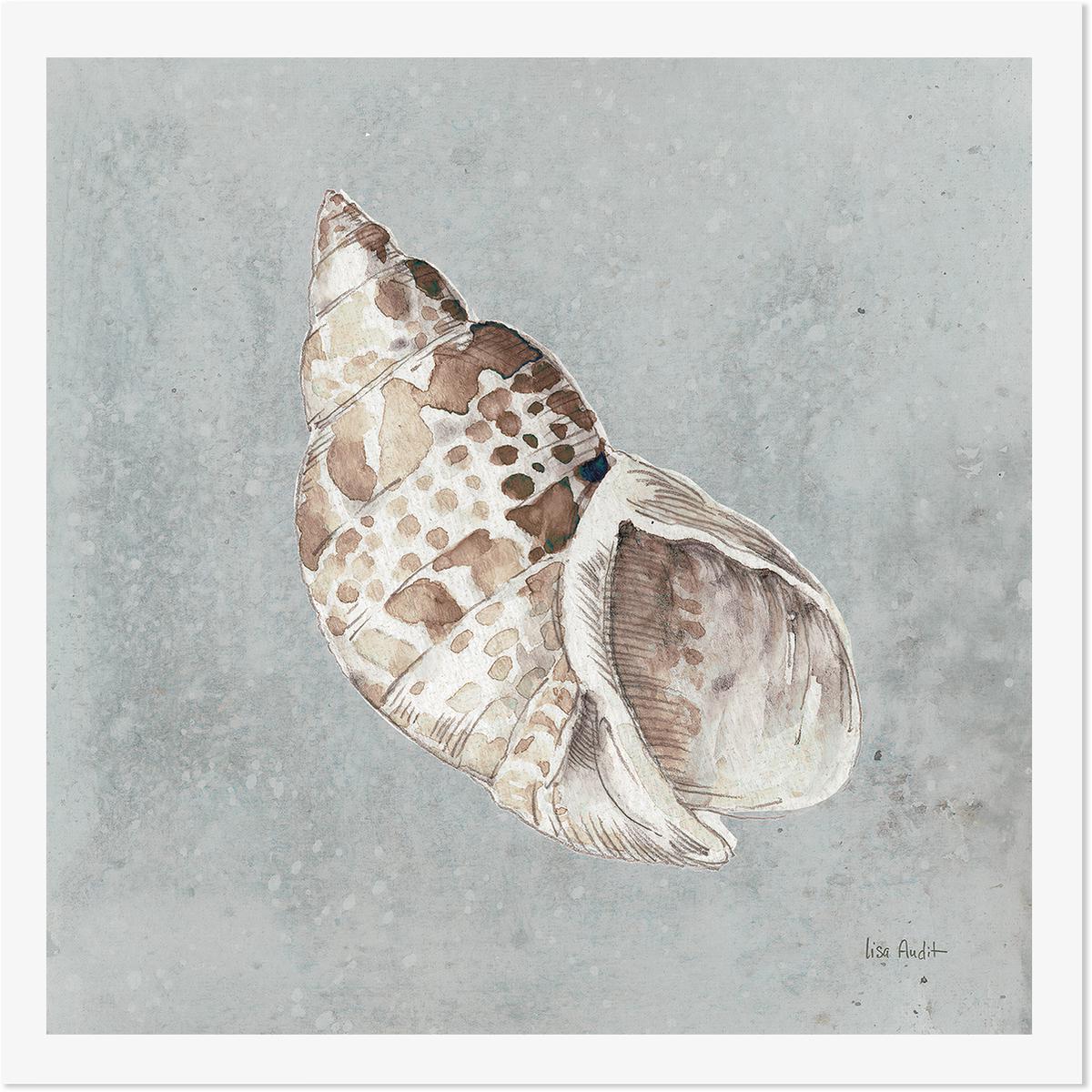 Sand And Seashells, Style B