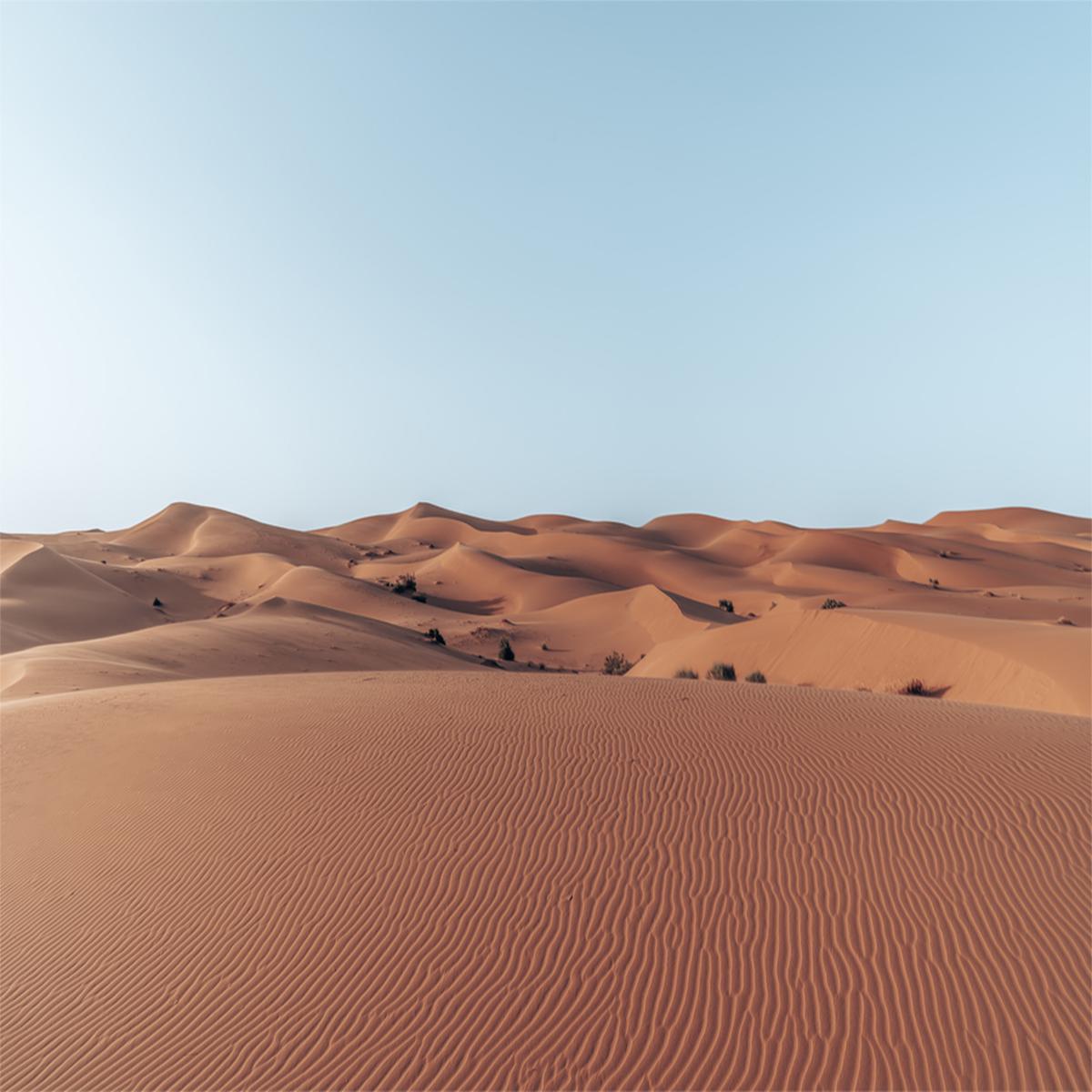Sunburnt Hues