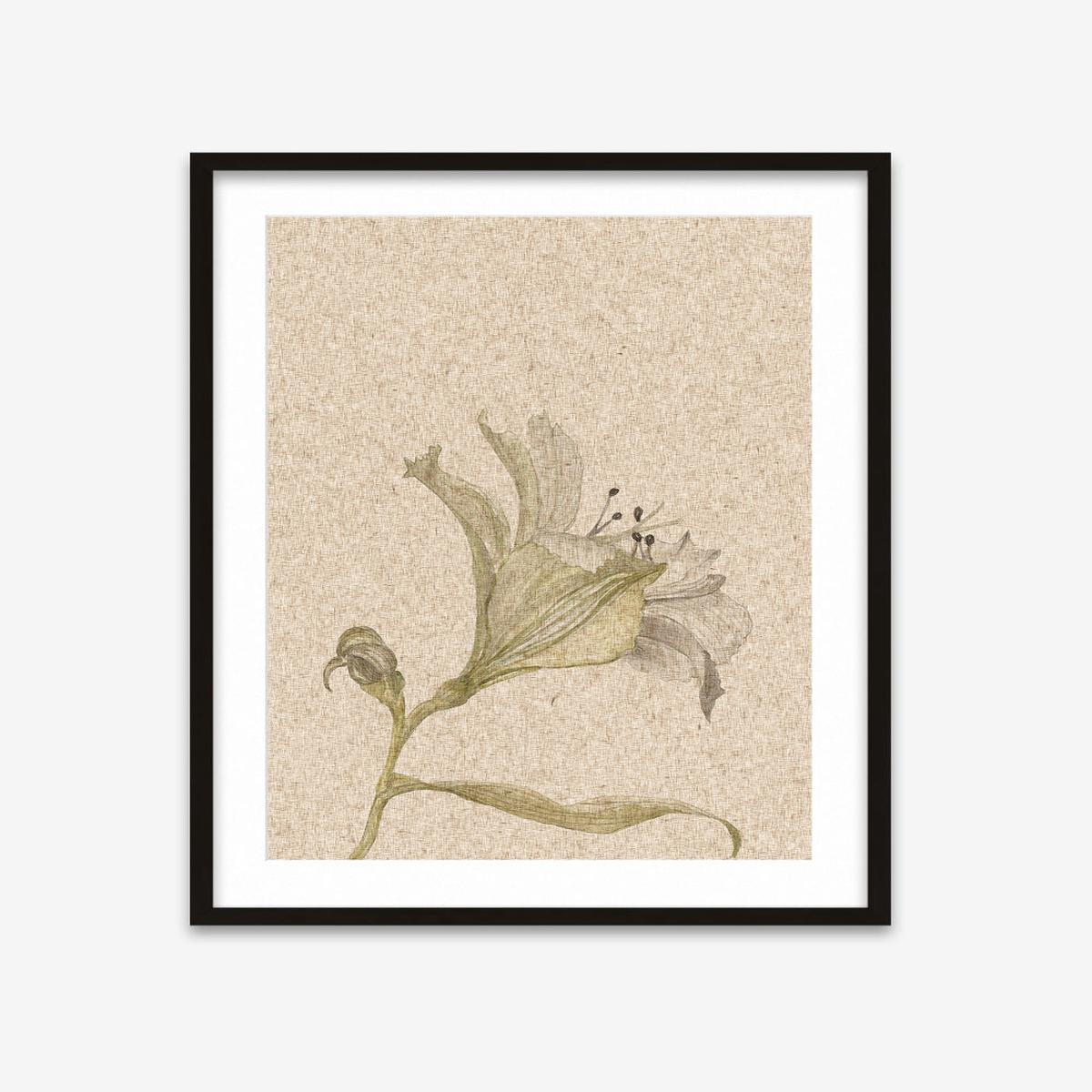 Vintage Floral Stem Art Print