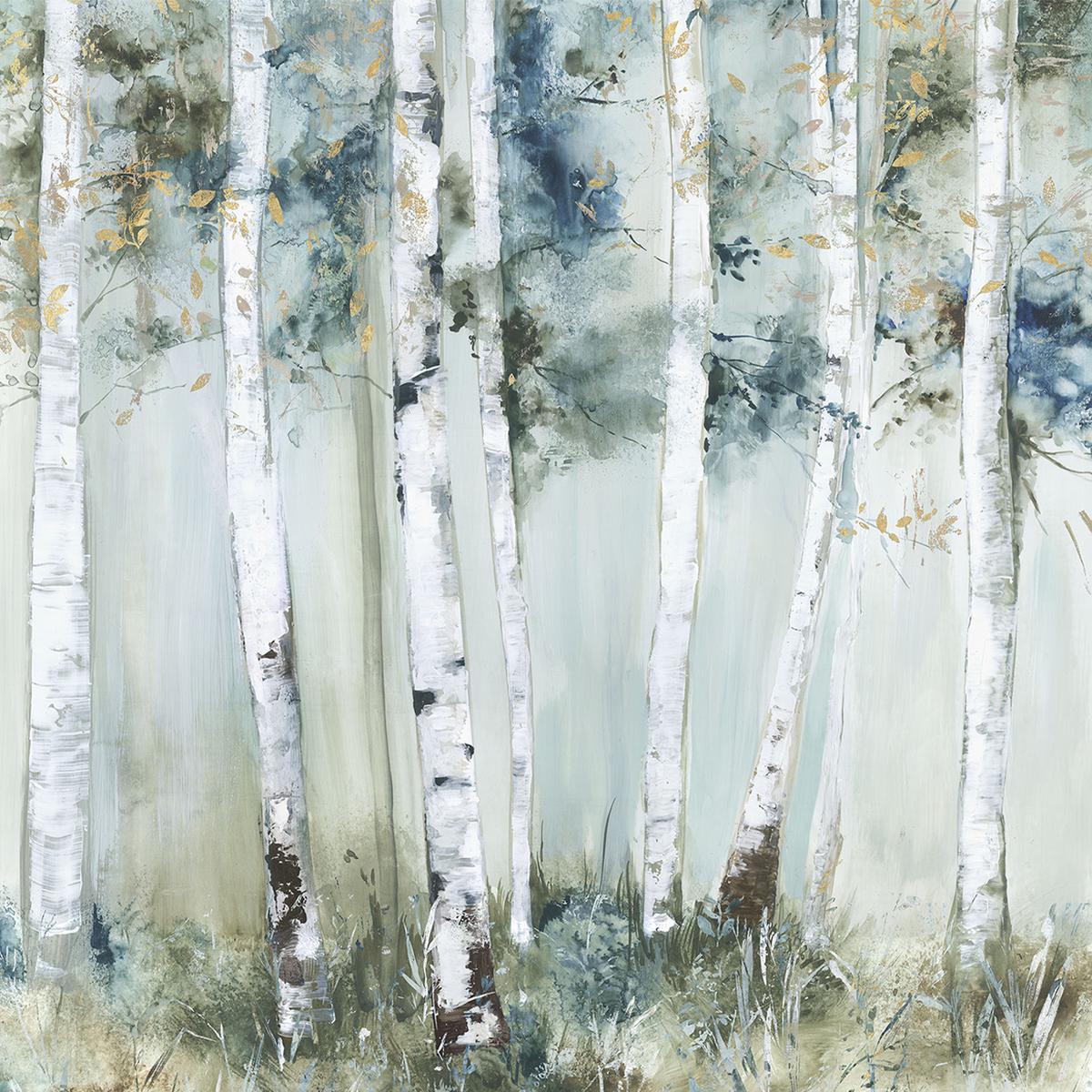 Birch Blue Forest