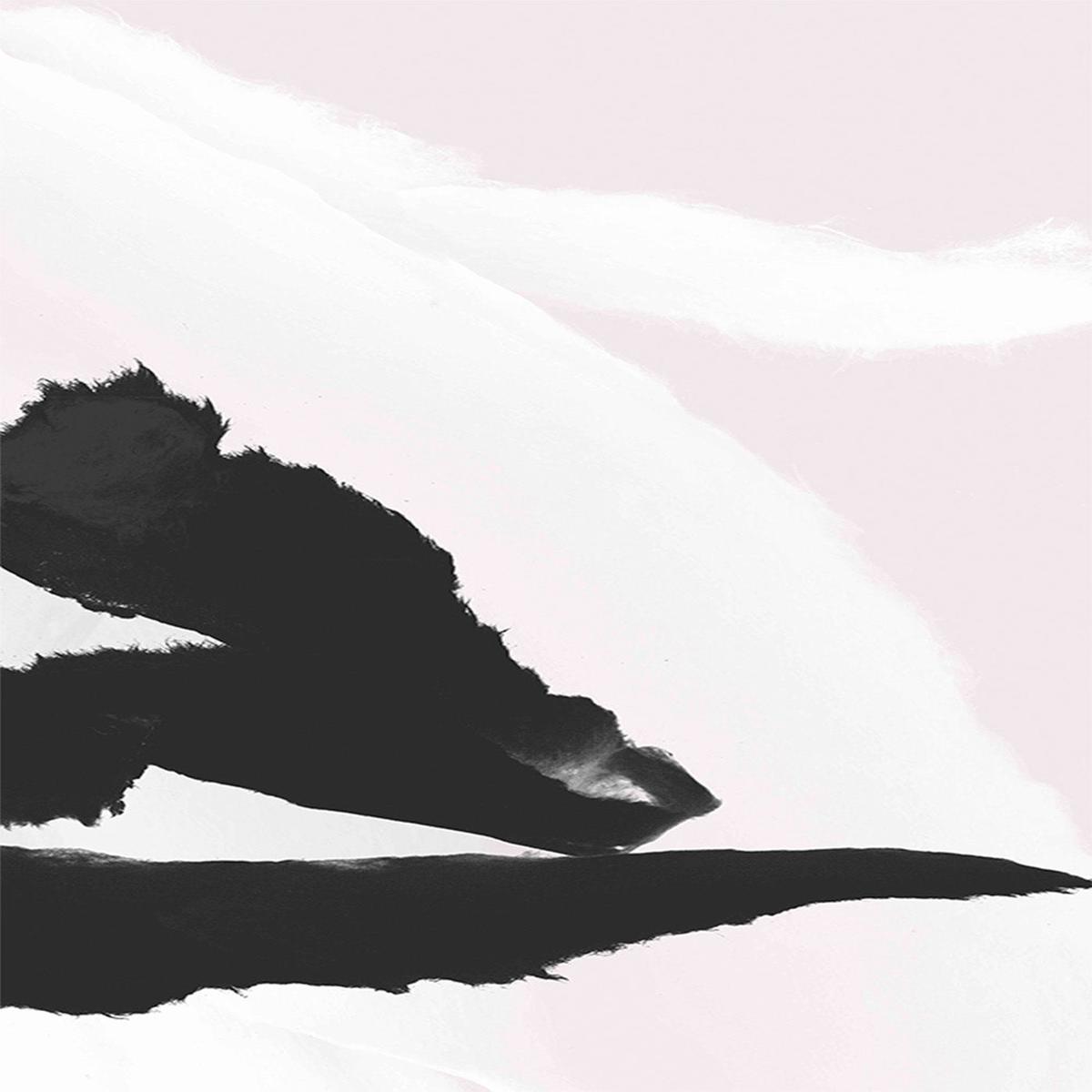 Shadow Stroke, Style B