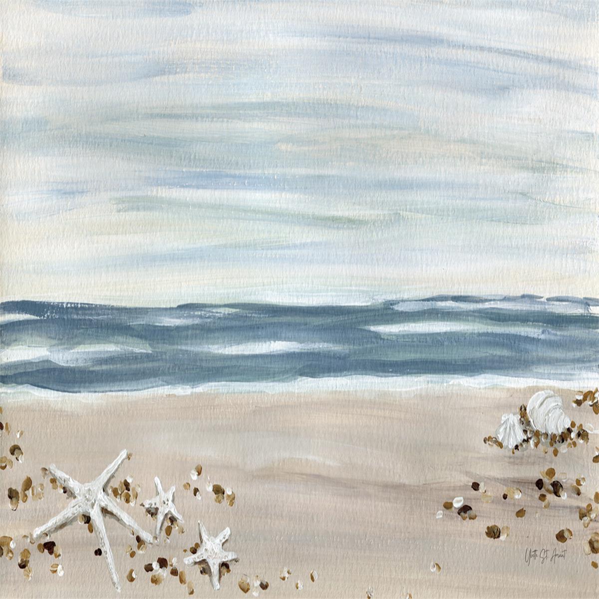 Shells by the Shore