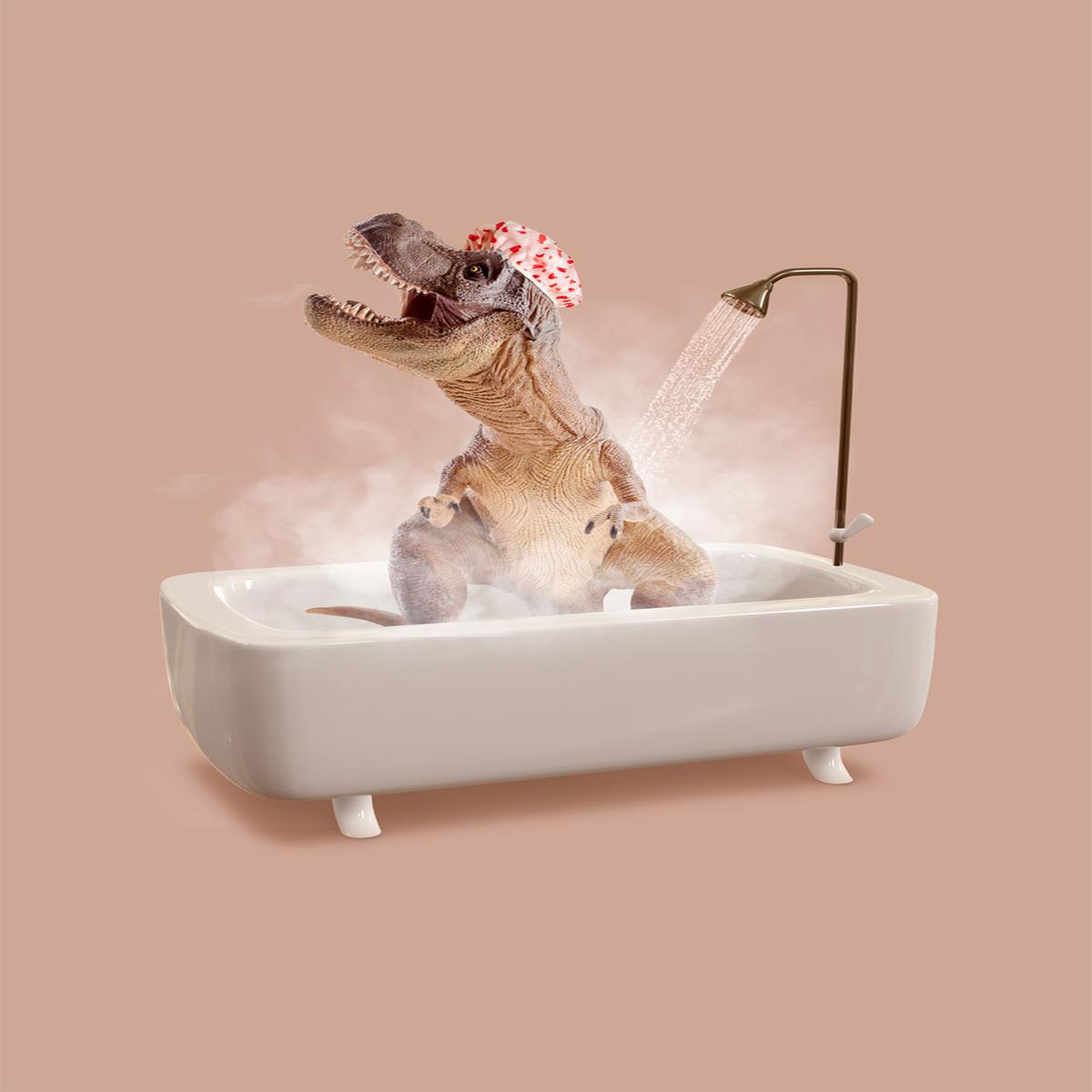 Dinosaur Shower