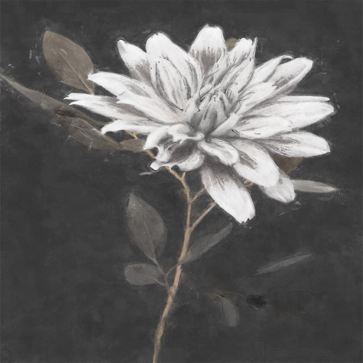 Fable Lotus, Style B