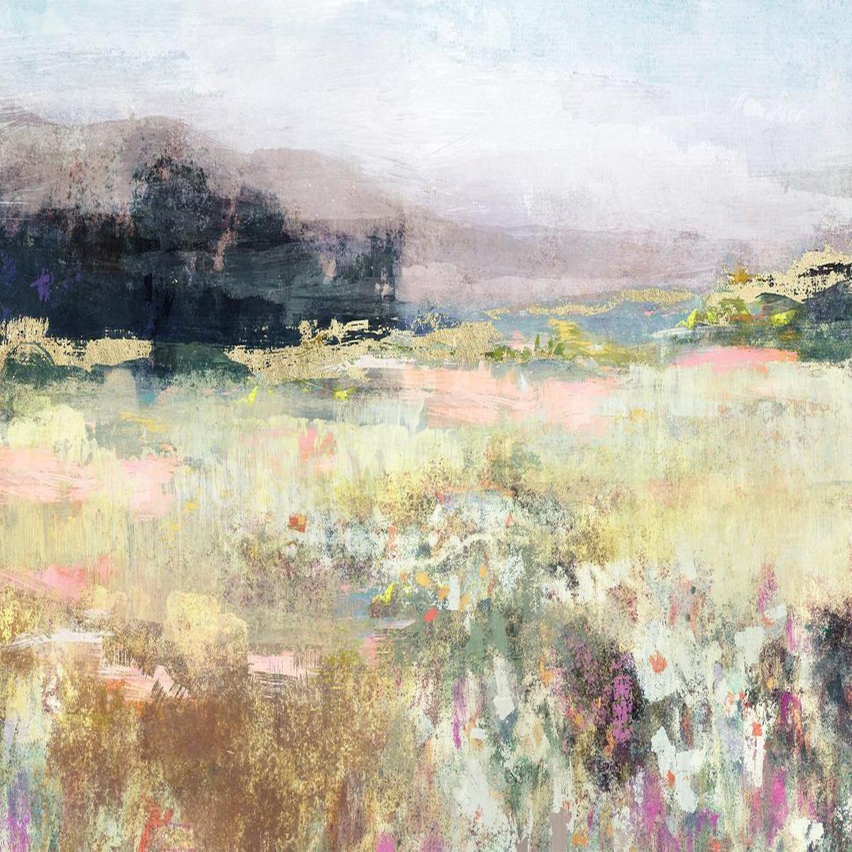 Field of Imaginations