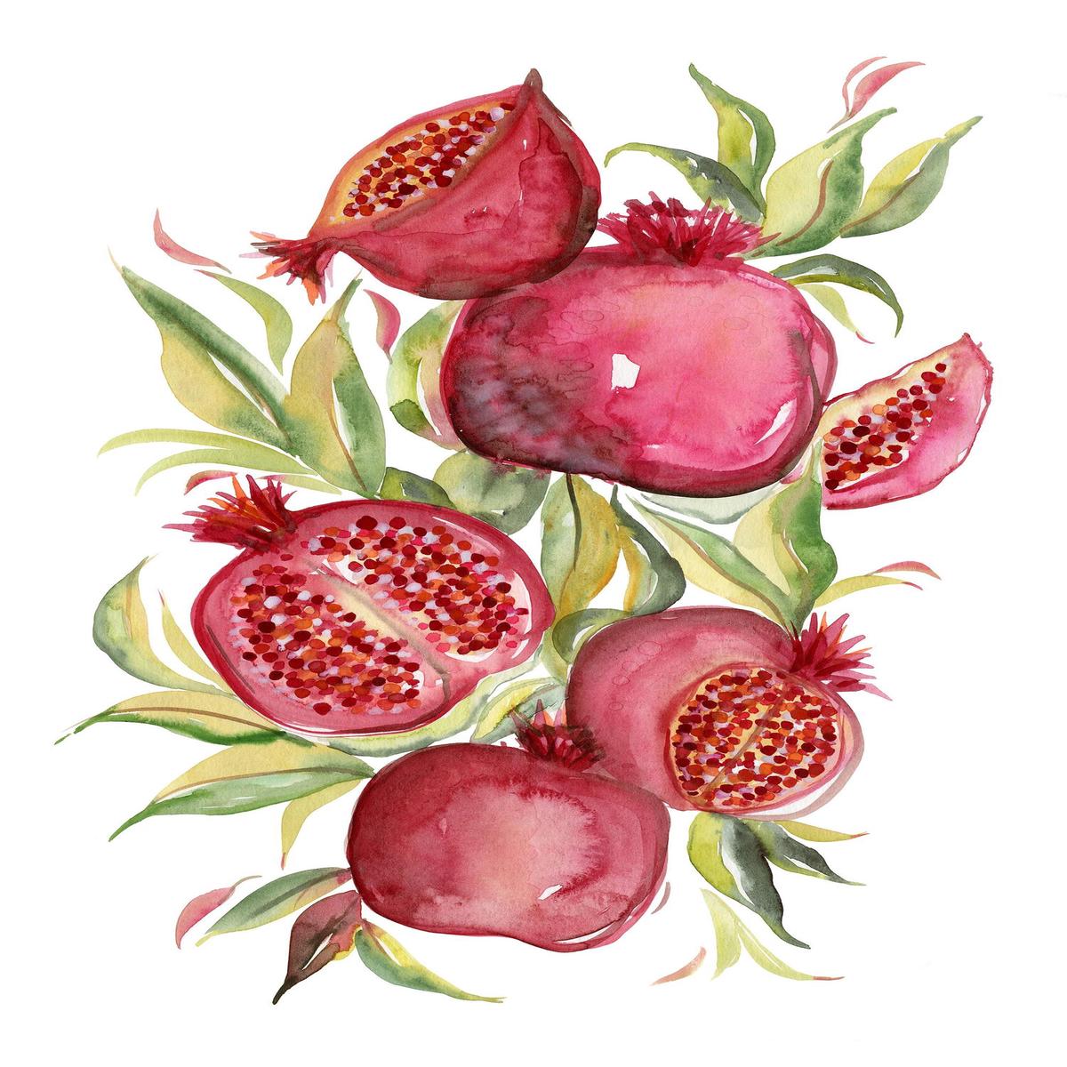 Fruit collection – Pomegranate
