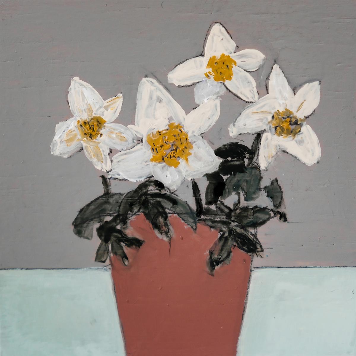 Helleboras , By Louise O’hara