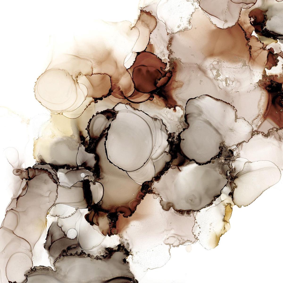Organic Curves 19