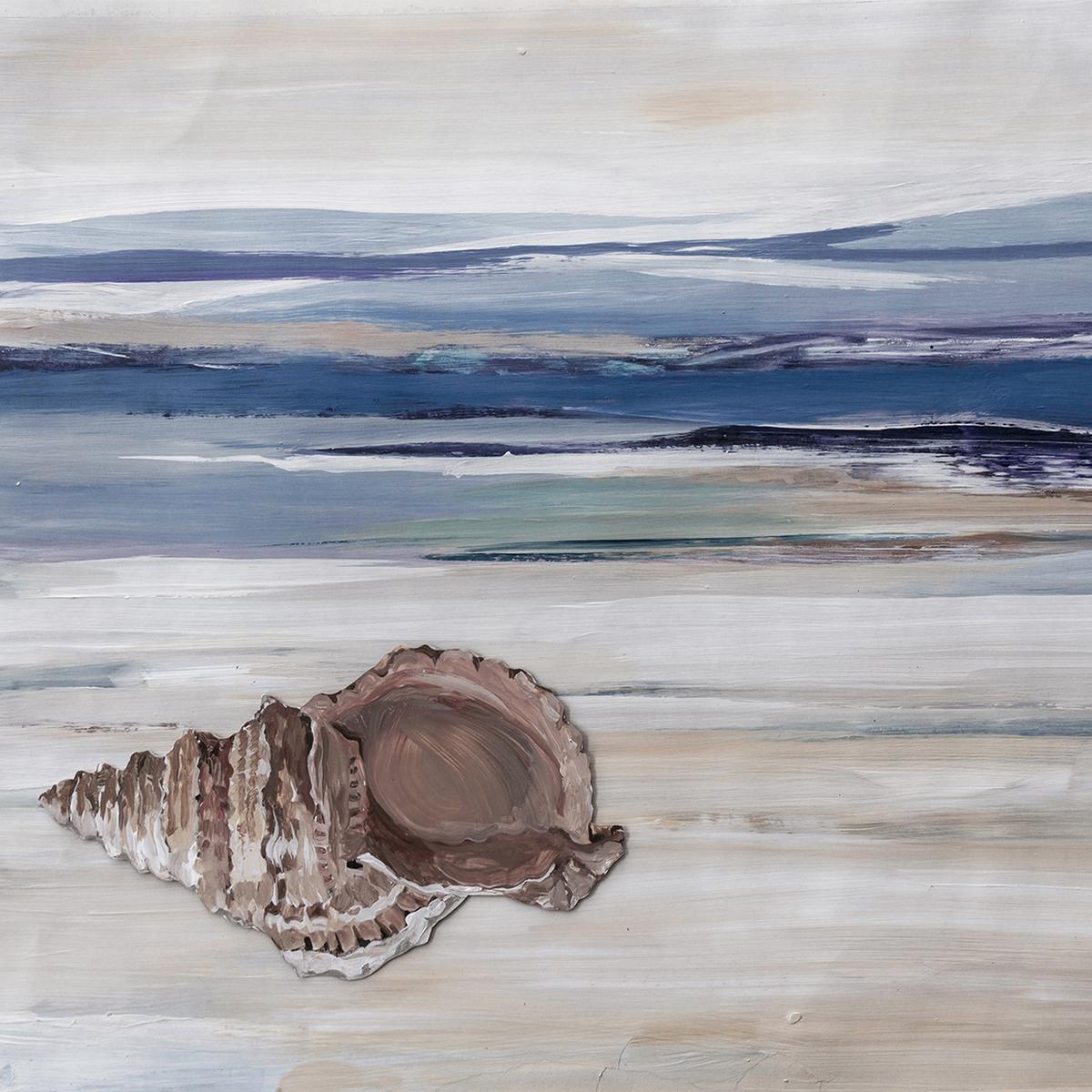 Seashell Shore, Style B