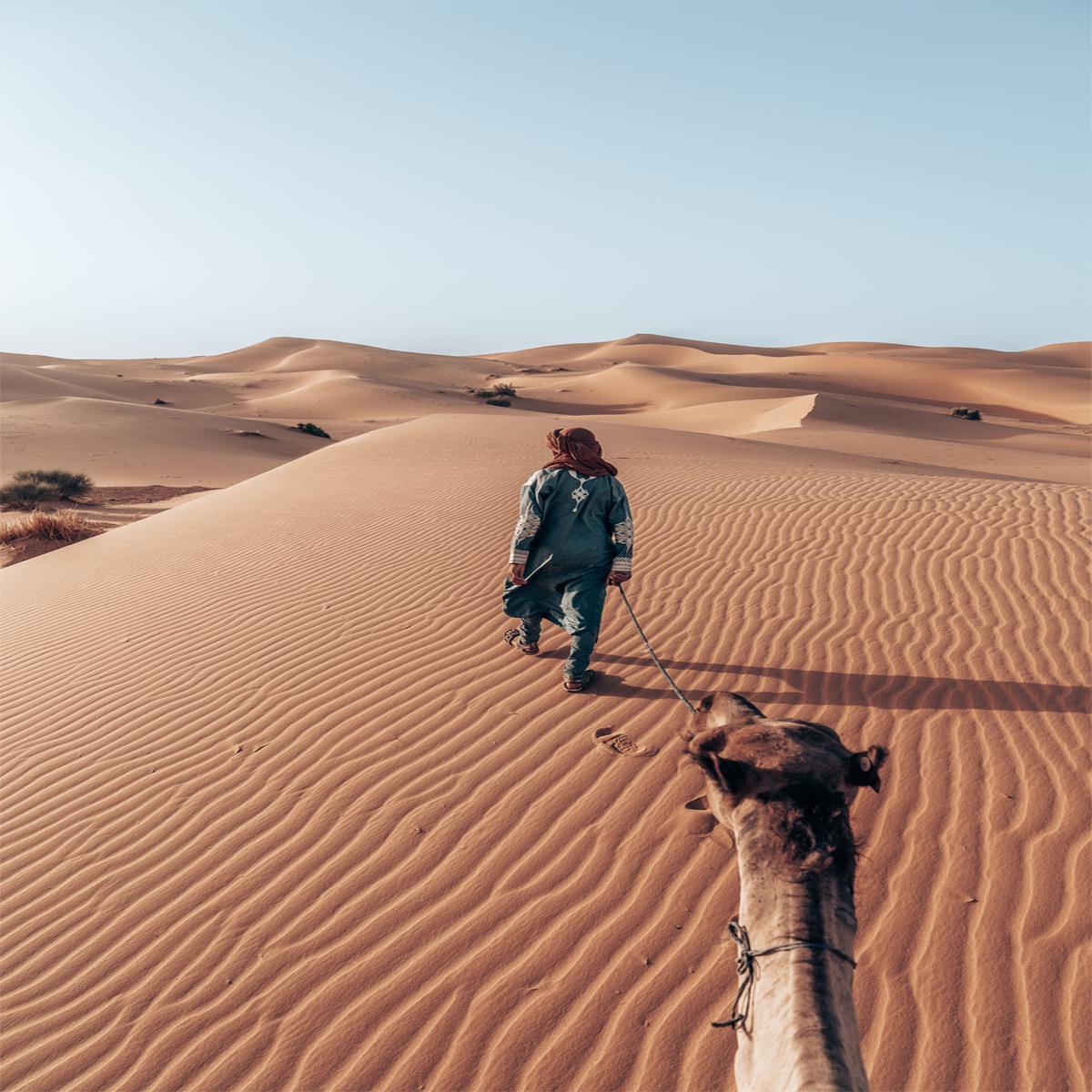 Desert Odyssey