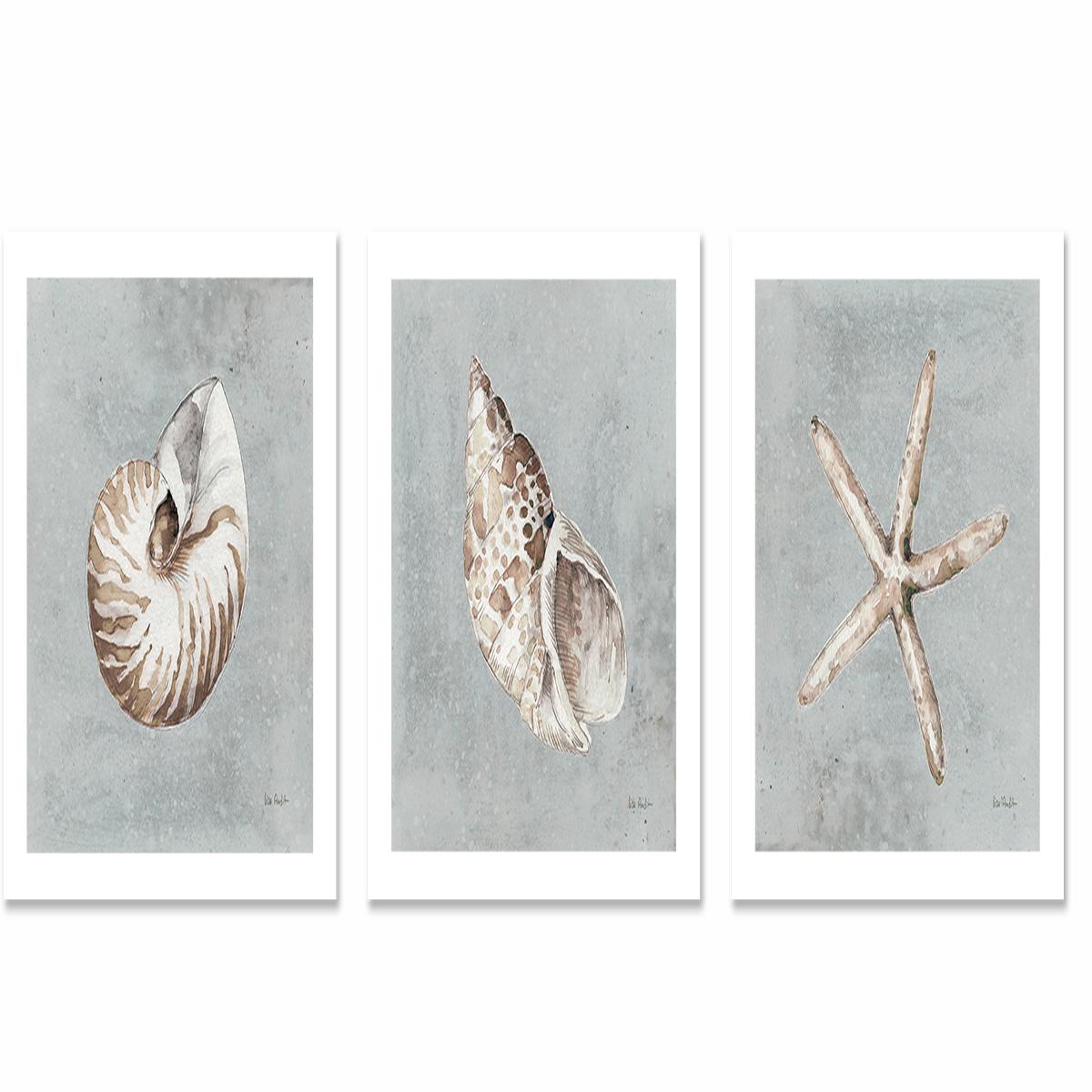 Sand And Seashells, Style A, B & C, Set Of 3