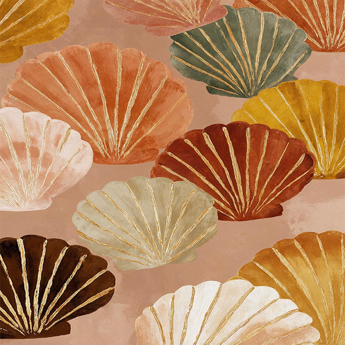 Sunwashed Shells