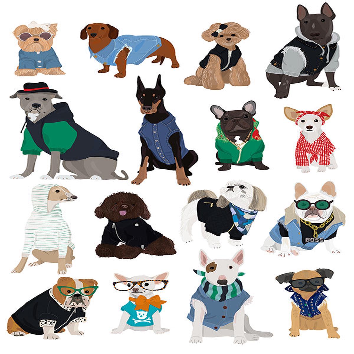 Cool Dog Print