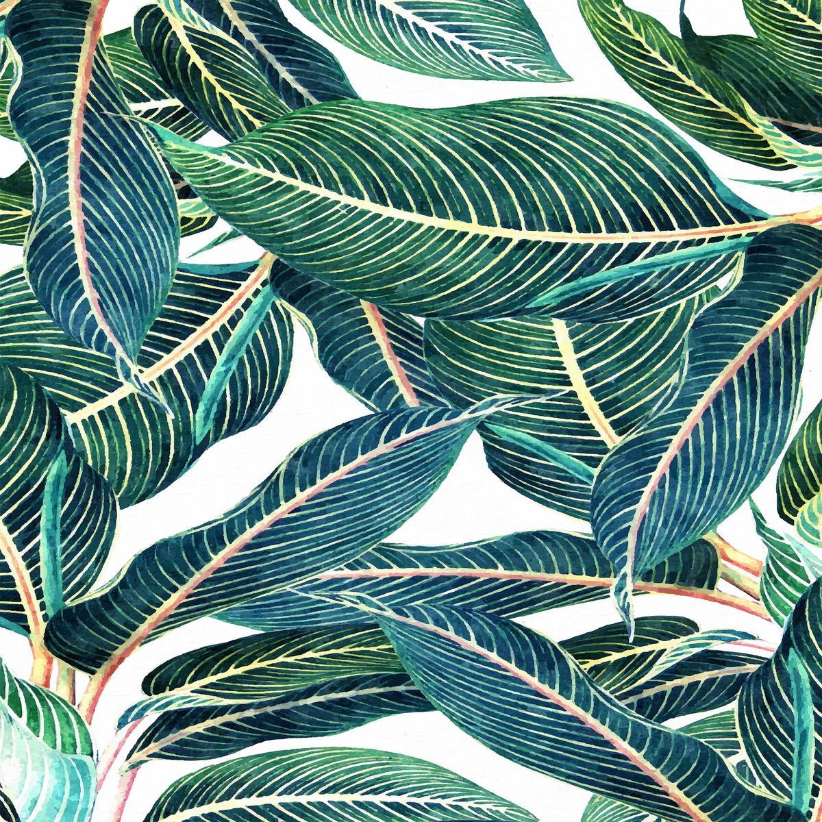 Edge and Dance Botanical
