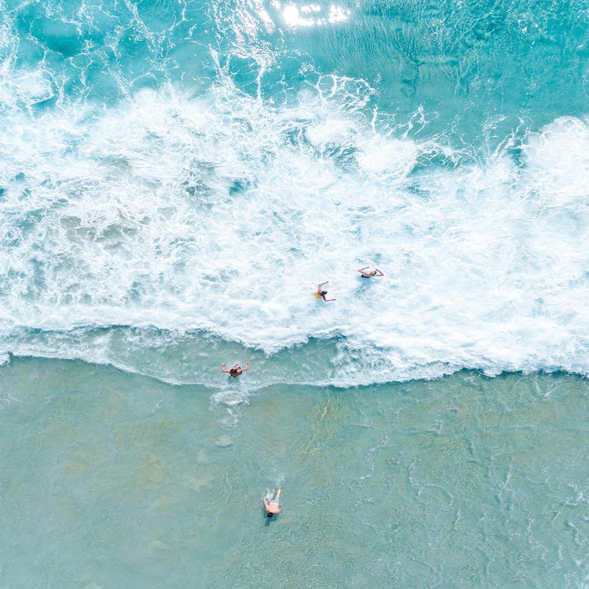 Salty Swimmers