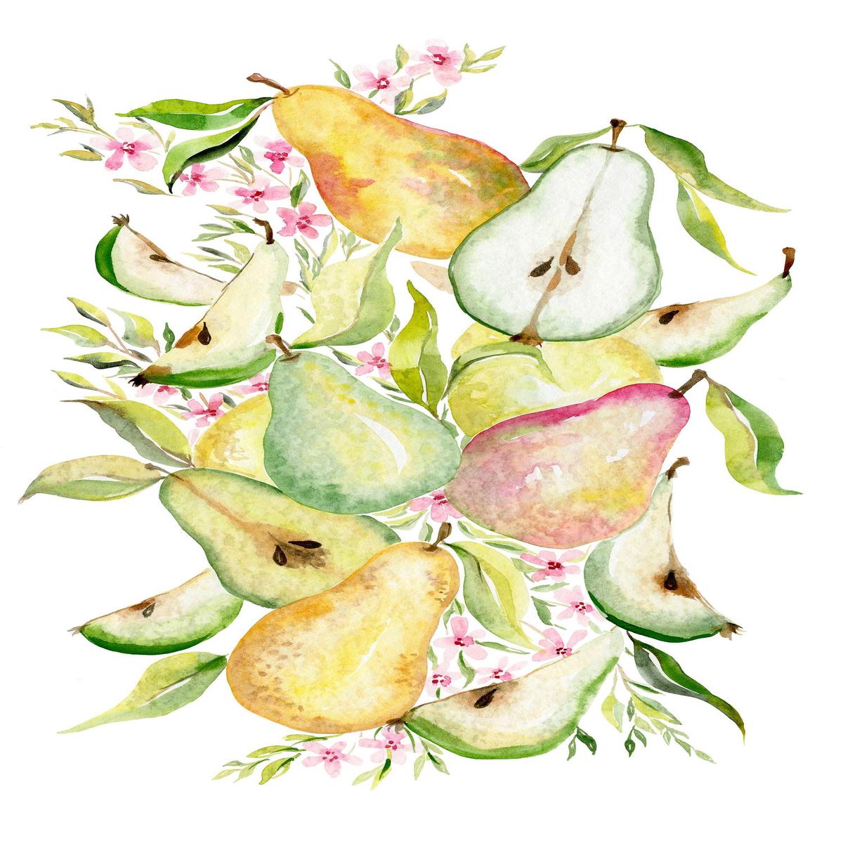 Fruit collection – Pears