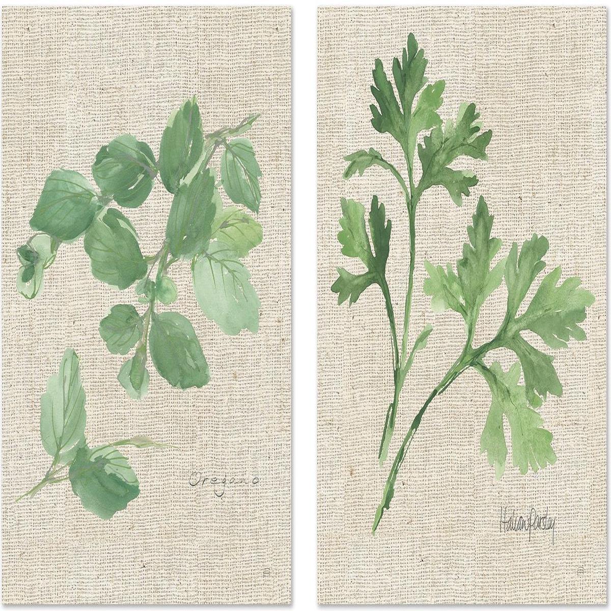Oregano And Italian Parsley, Set Of 2