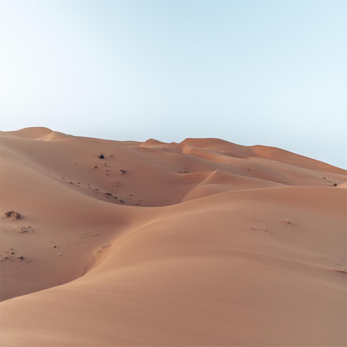 Saharan Serenity