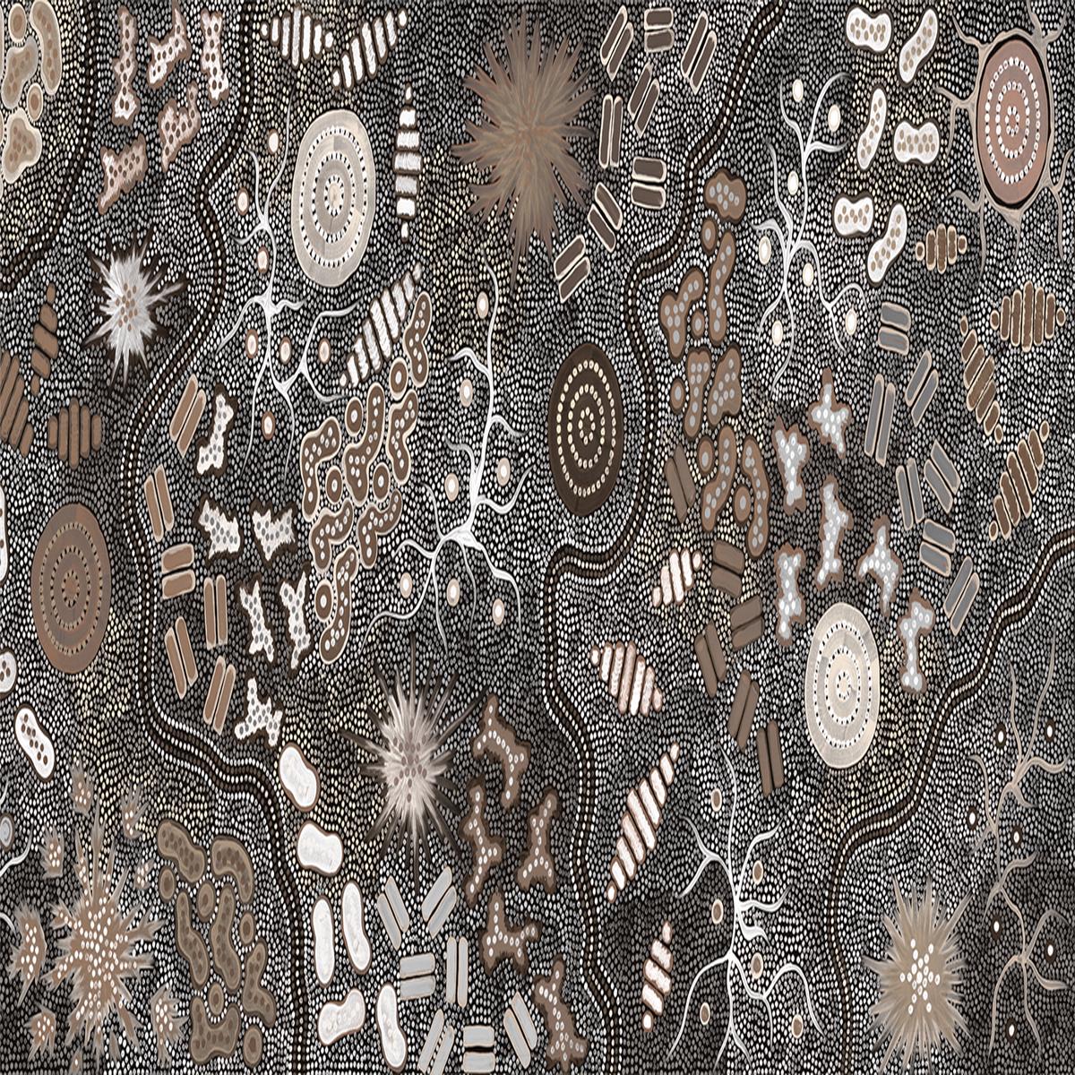 Waterhole Bush Tucker Dreaming, Style A, Brown Tones