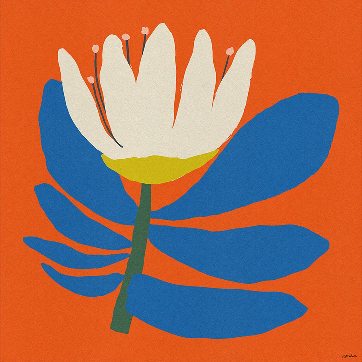 White Flower With Blue Leave