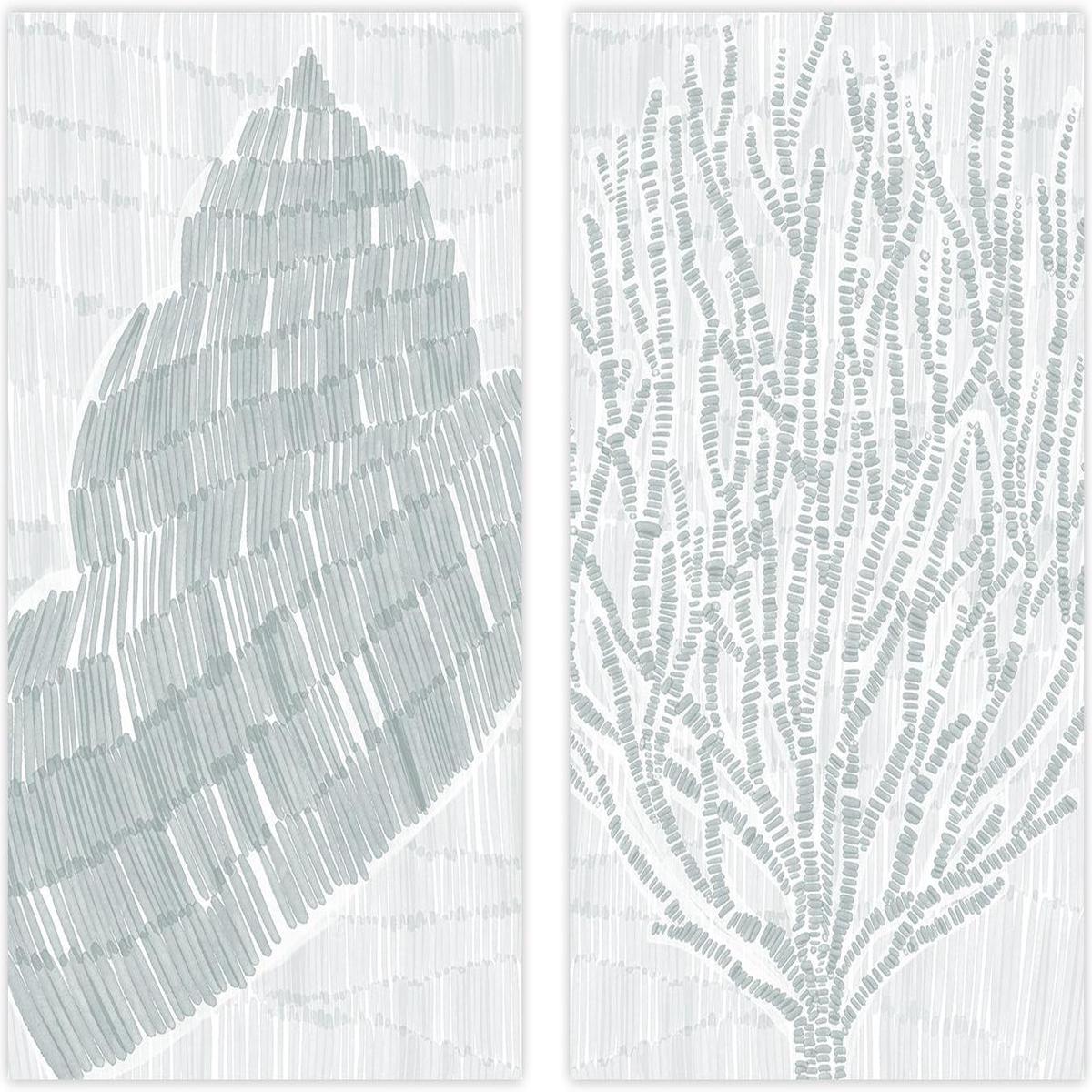 Drifted Snail Shell and Drifted Seaweed , Set Of 2