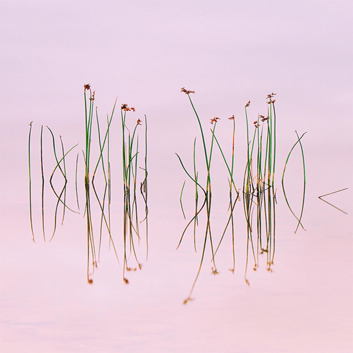 Reflection of Serenity