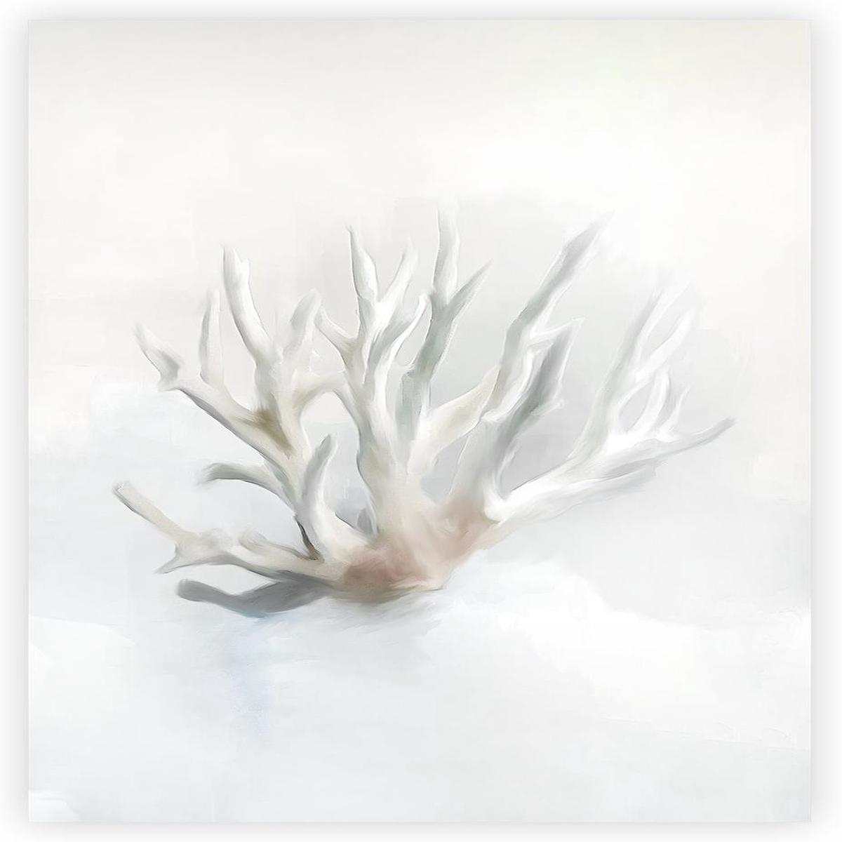 Staghorn Coral , Style E