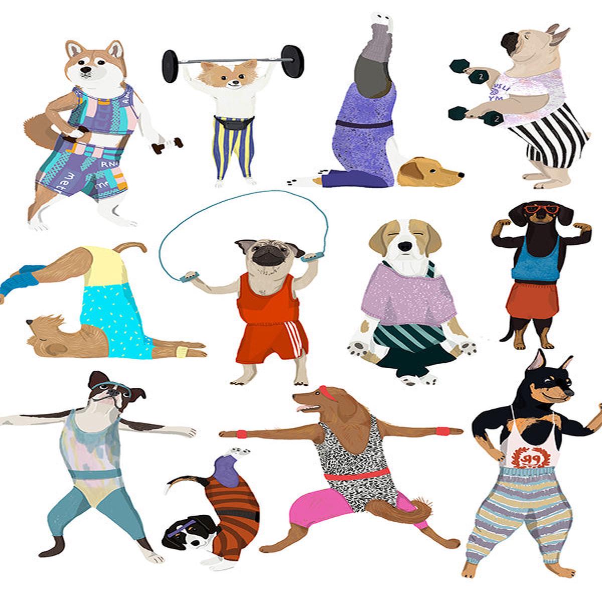 Dog Exercise