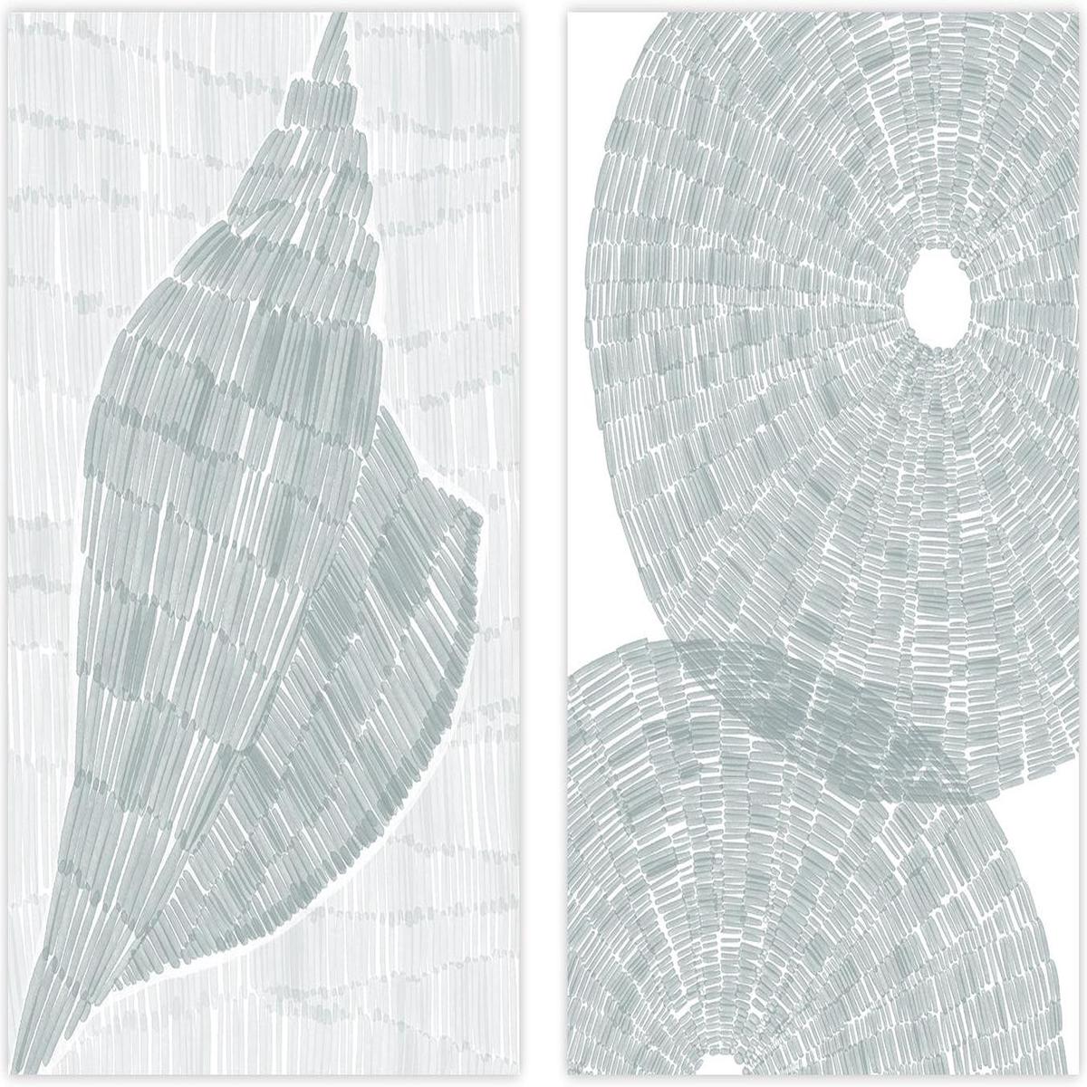 Drifted Conch Shell and Salty Sea Urchin shell , Set Of 2