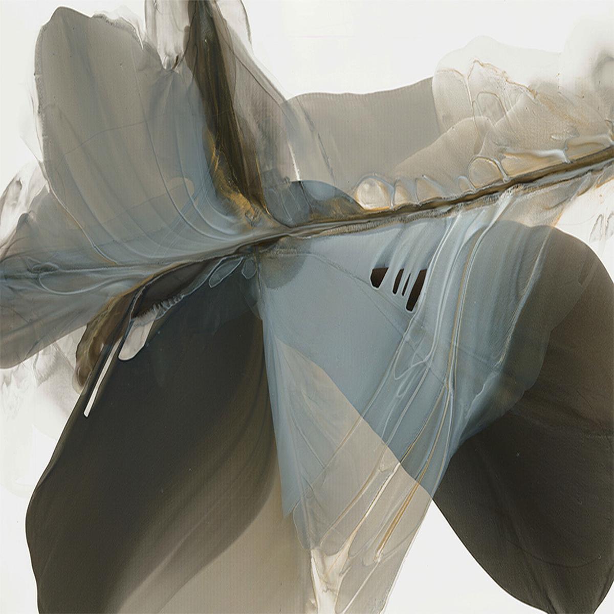 Flowing Silhouette of Natures Grace