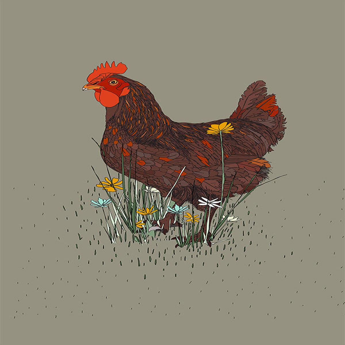 Rooster in the Meadow