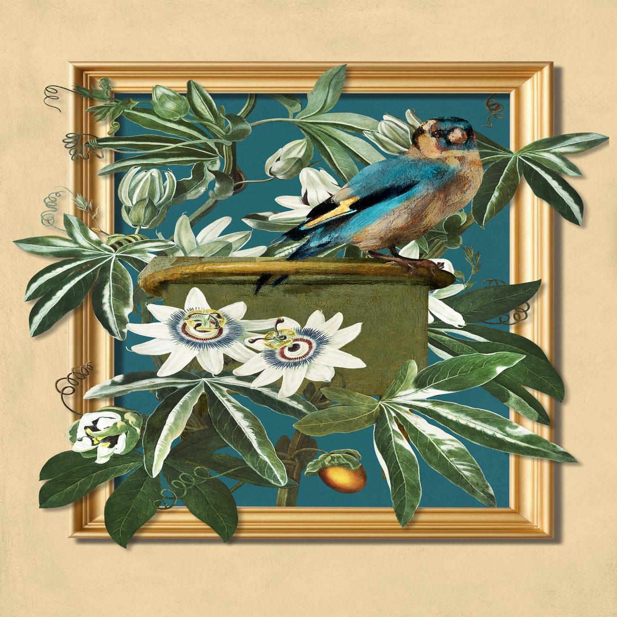 The Goldfinch and the Passion Flowers