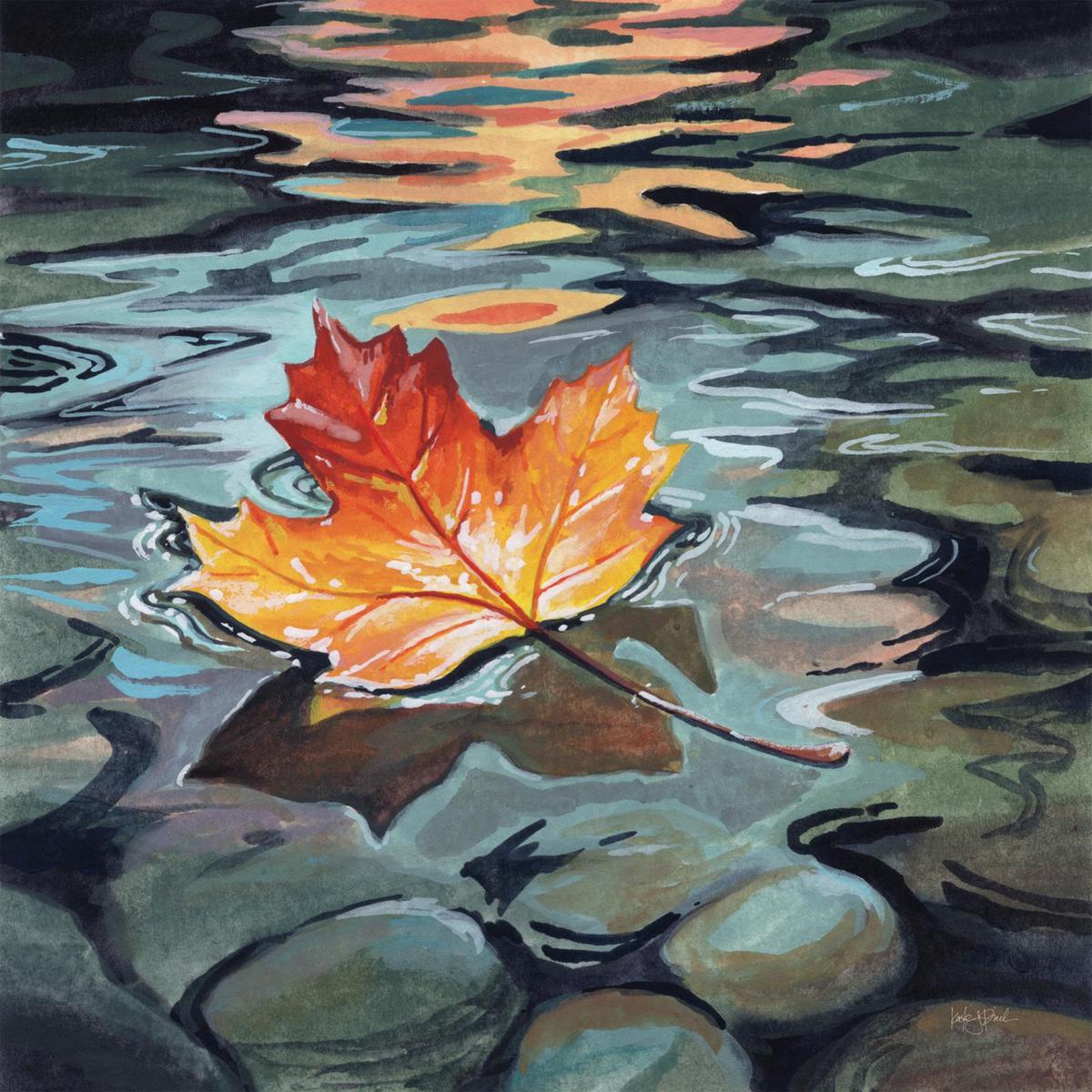 Maple Leaf Floating In a Stream