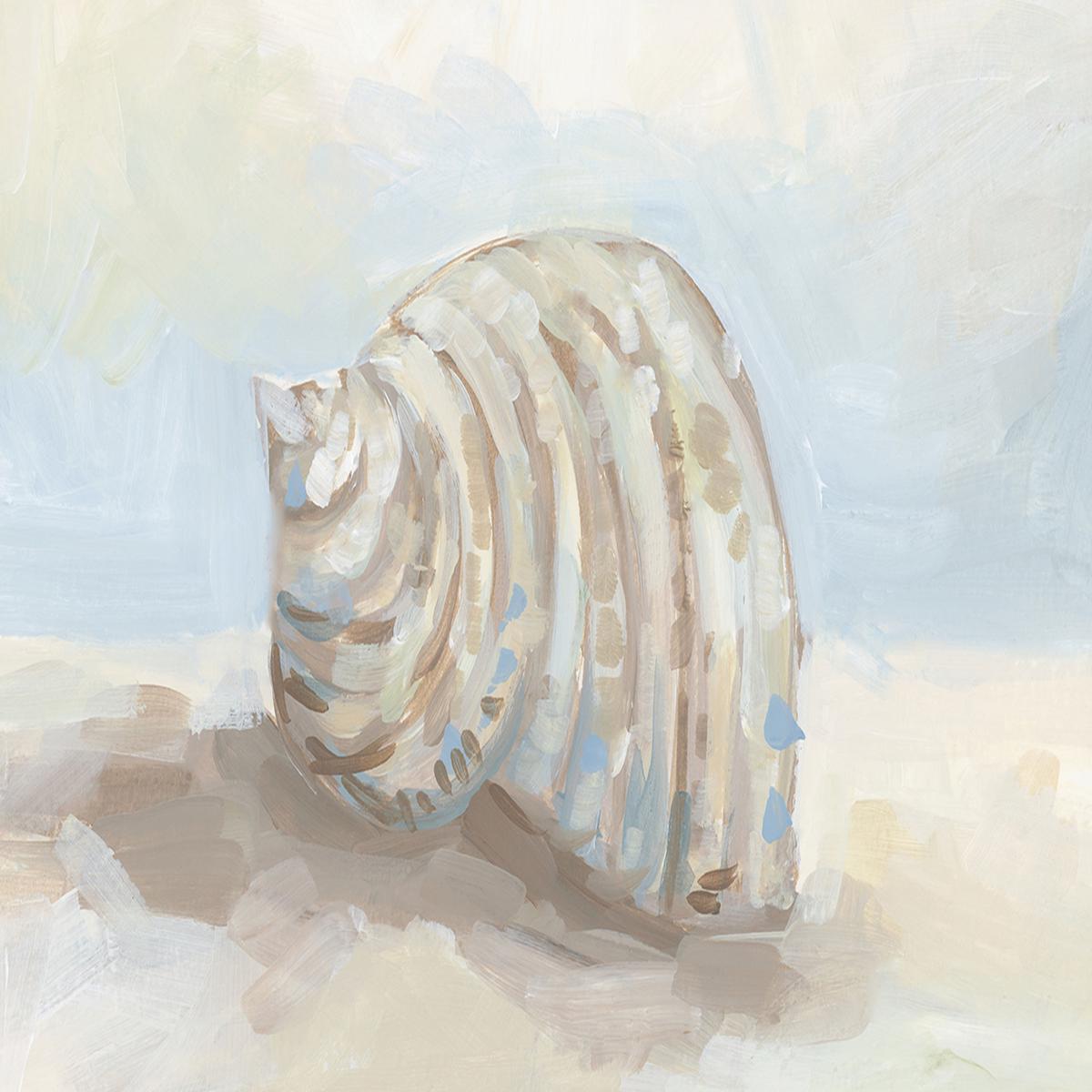 Neutral Coastal Seashell , Style A