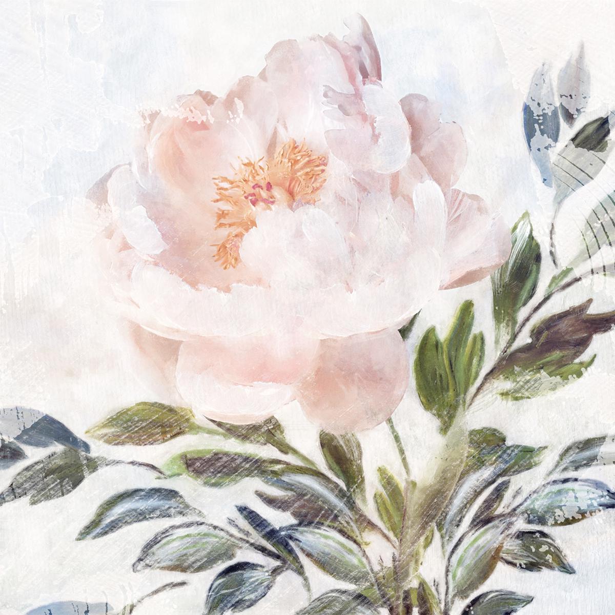 Peony Melody, Style A