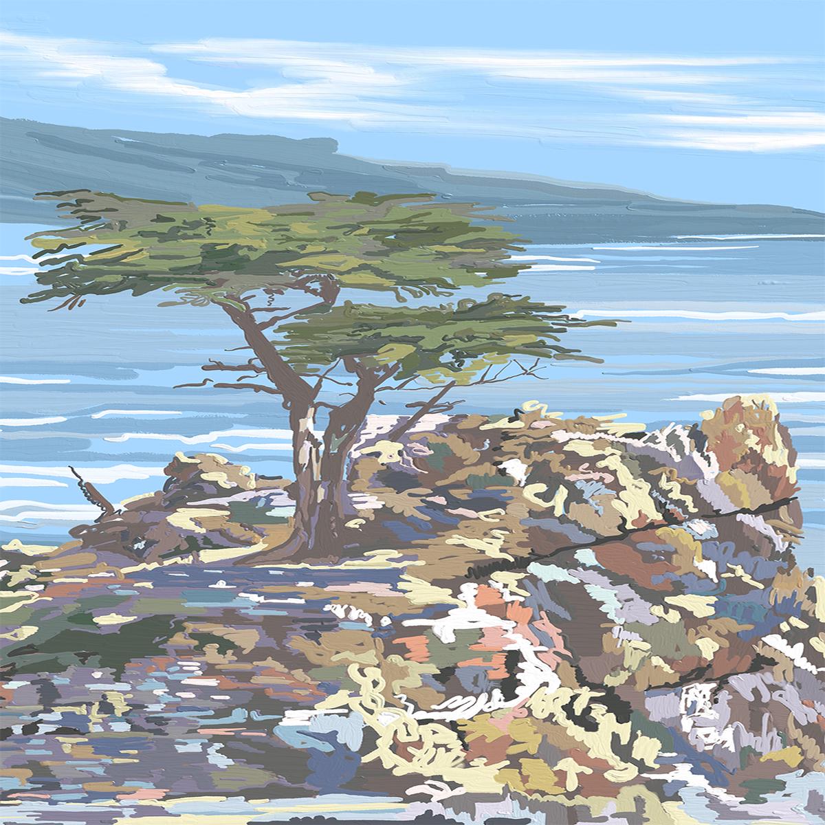 Quiet Sentinel, 17 Mile Drive, California