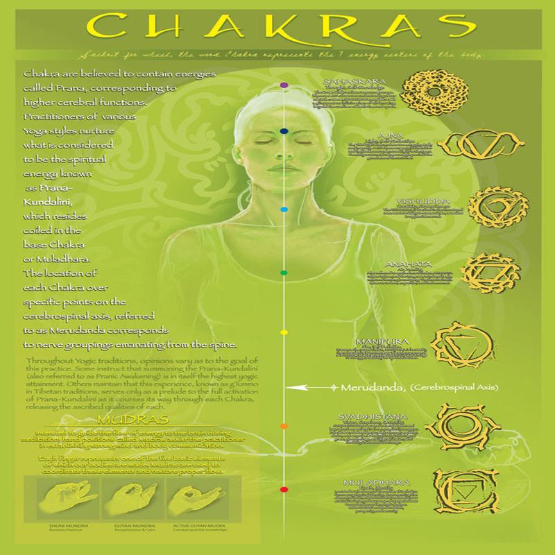 Yoga Chakras and Mudras Yoga Studio Wall Chart Poster - Eurographics Inc.