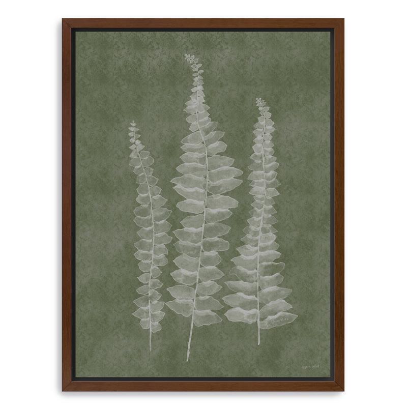 Woodland Ferns I Canvas Giclee