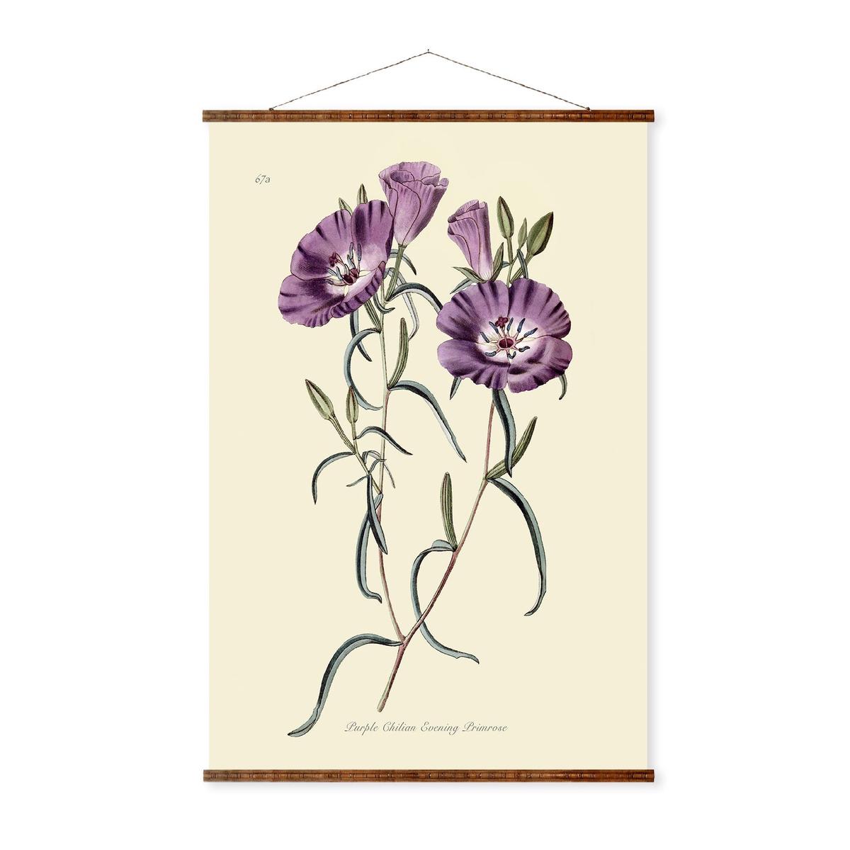 Botanical Art Canvas - Purple Primrose Print With Roll Down Canvas & Decorative Wood Frame