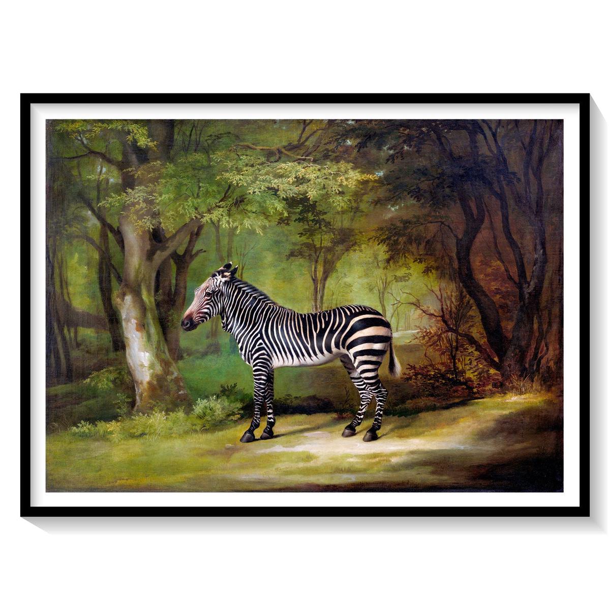 Zebra by George Stubbs, Animal Painting