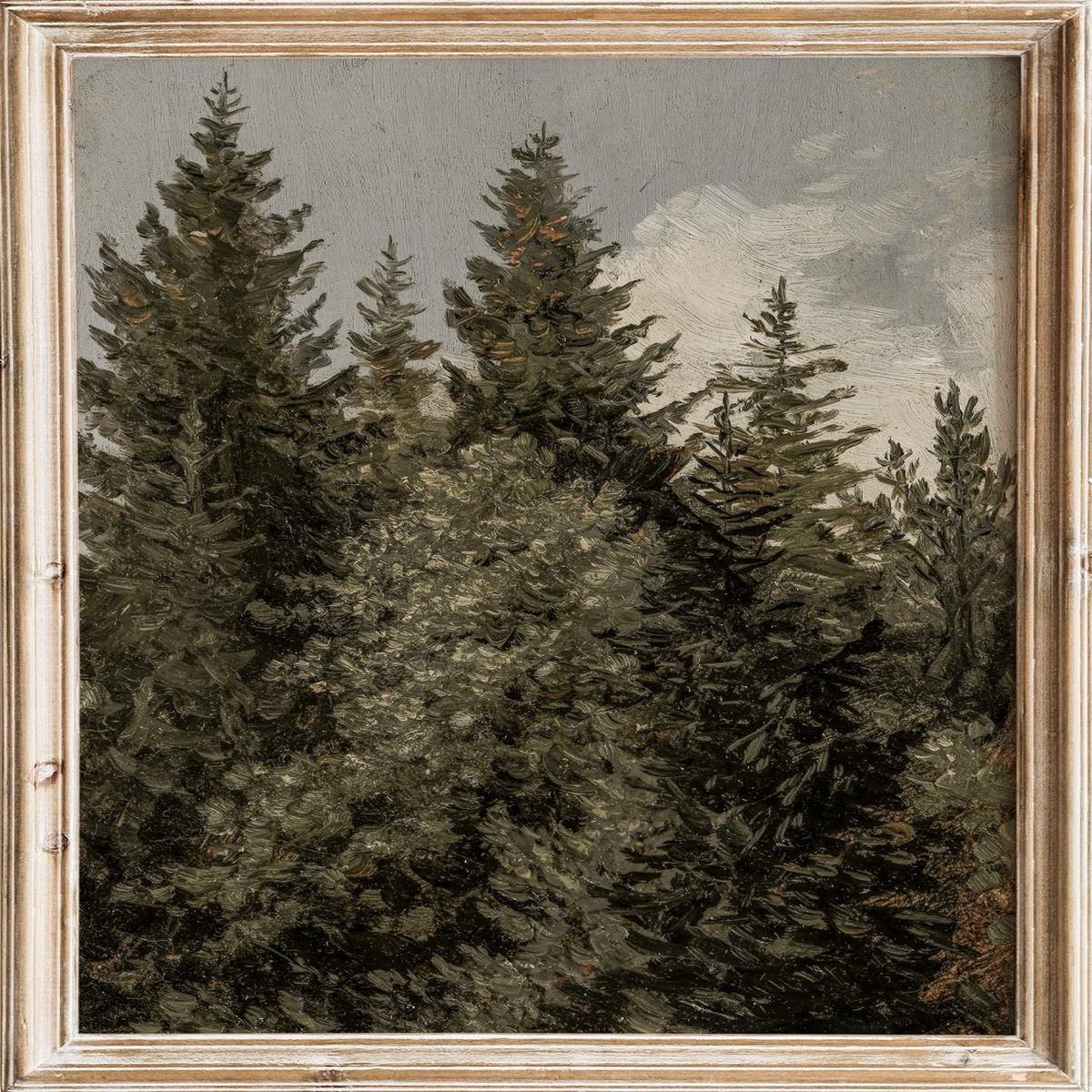 "Firs" Art Print