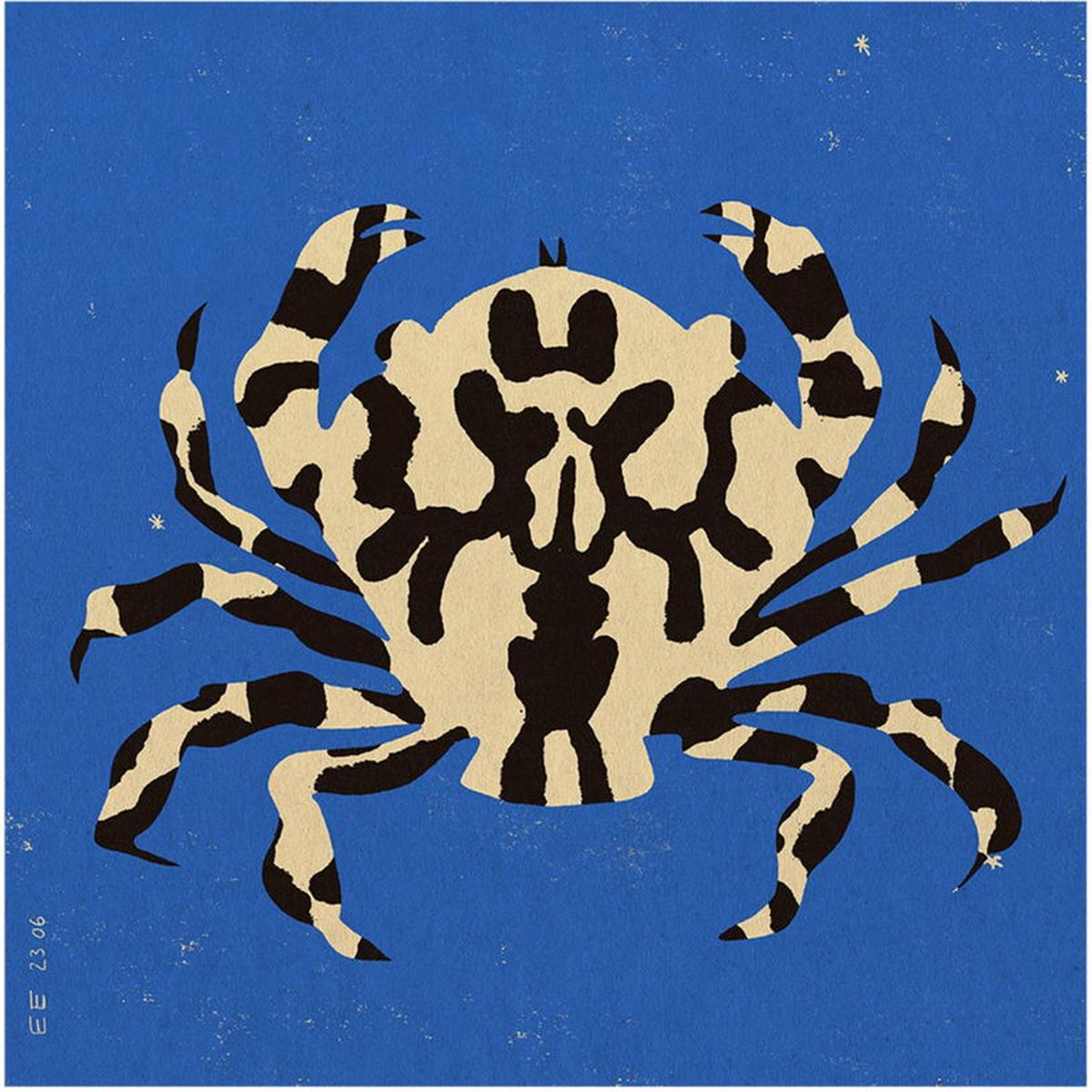 100x100cm Calico Crab poster - The Poster Club