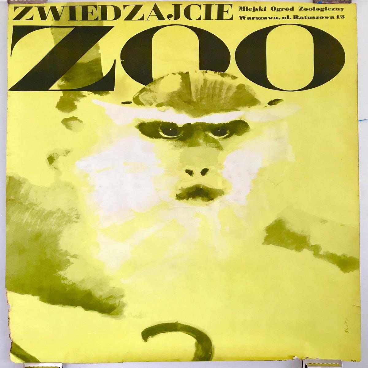 Zwiedzajcie ZOO
