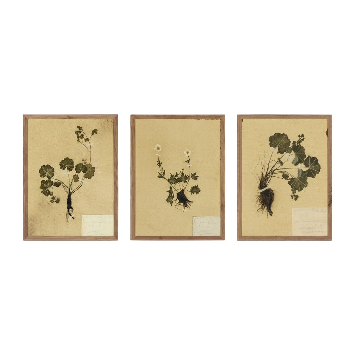 Amber Lewis x Four Hands Petite Study Triptych by Hannah Winters Wall Art Set